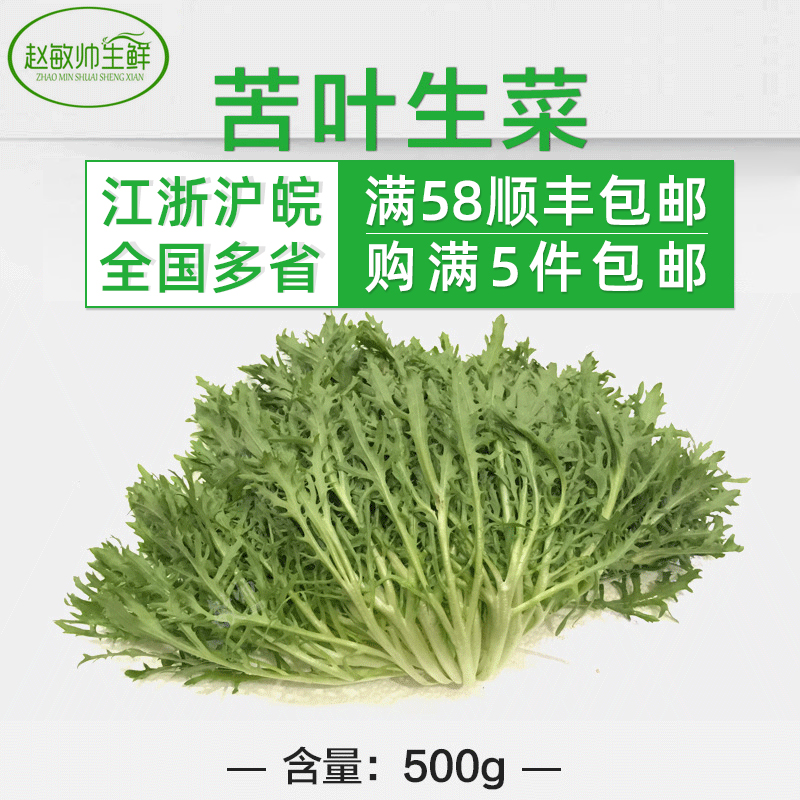 苦细叶新鲜蔬菜苦细叶