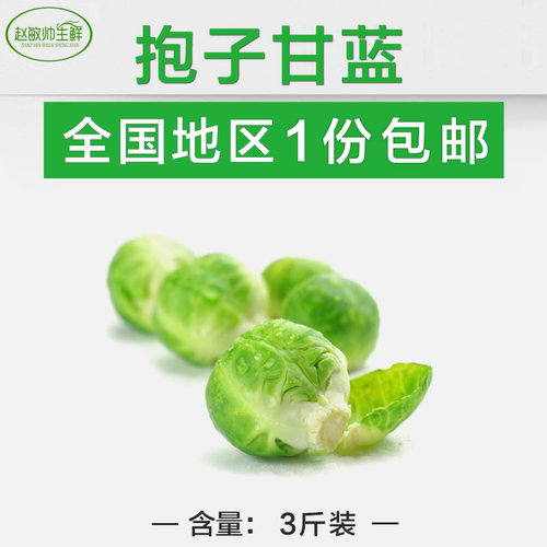 孢子甘蓝 抱子甘蓝食用西餐沙拉蔬菜小宝菜小卷心菜 多省一件包邮