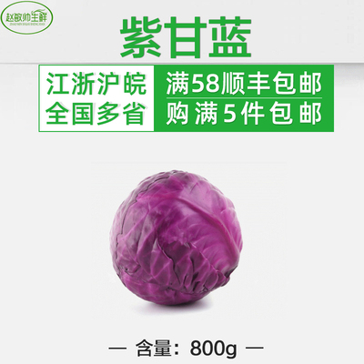 紫甘蓝800g 5份包免邮 紫包菜新鲜蔬菜沙拉菜色拉紫卷心菜