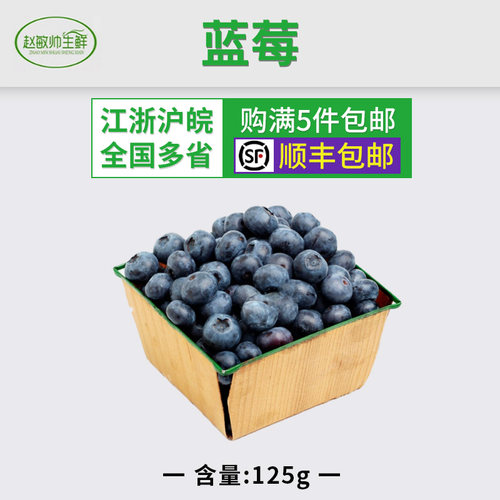 新鲜蓝莓蓝梅鲜果水果江浙沪皖