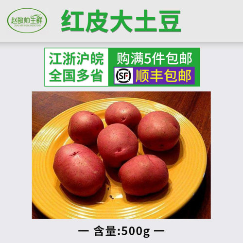 红皮大土豆 新鲜红皮大土豆 洋芋500g 江浙沪5件包邮