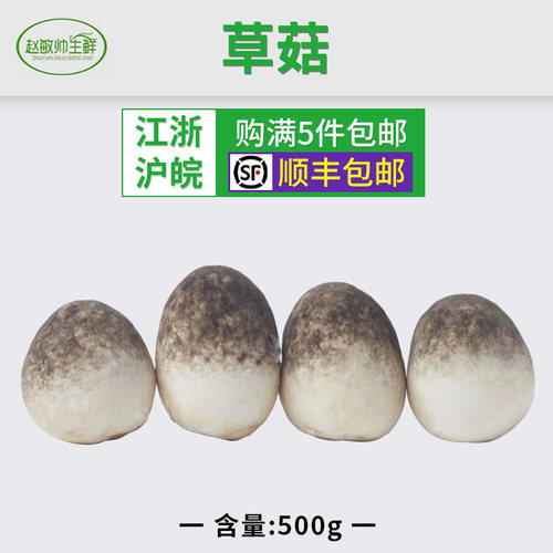 新鲜兰花菇草菇江浙沪包邮菌菇