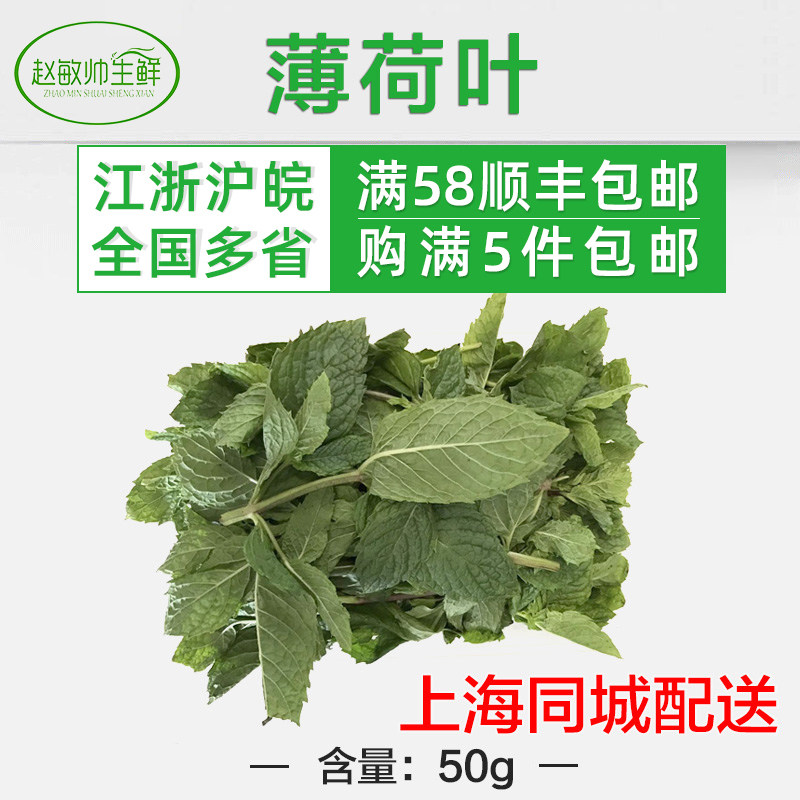 新鲜薄荷叶 精品薄荷叶 1盒装 50g  江浙沪5份顺丰包邮 留兰香