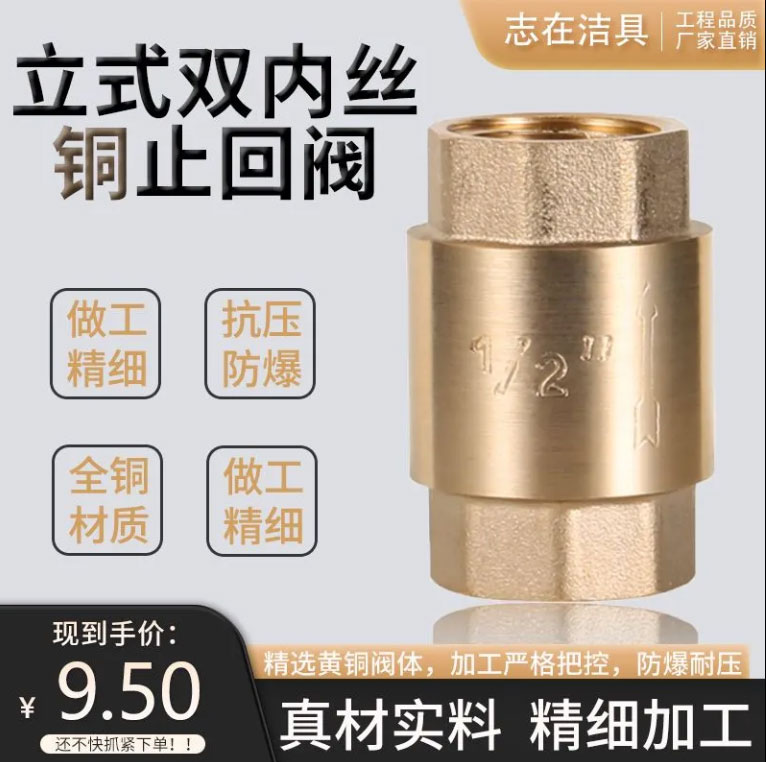 4分6分1寸全黄铜立式止回阀 水管水表止逆阀弹簧单向阀dn15 20 25
