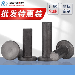 ￠8￠10每1公斤敲击铆钉 实惠平头铁铆钉铁本色GB109实心￠2