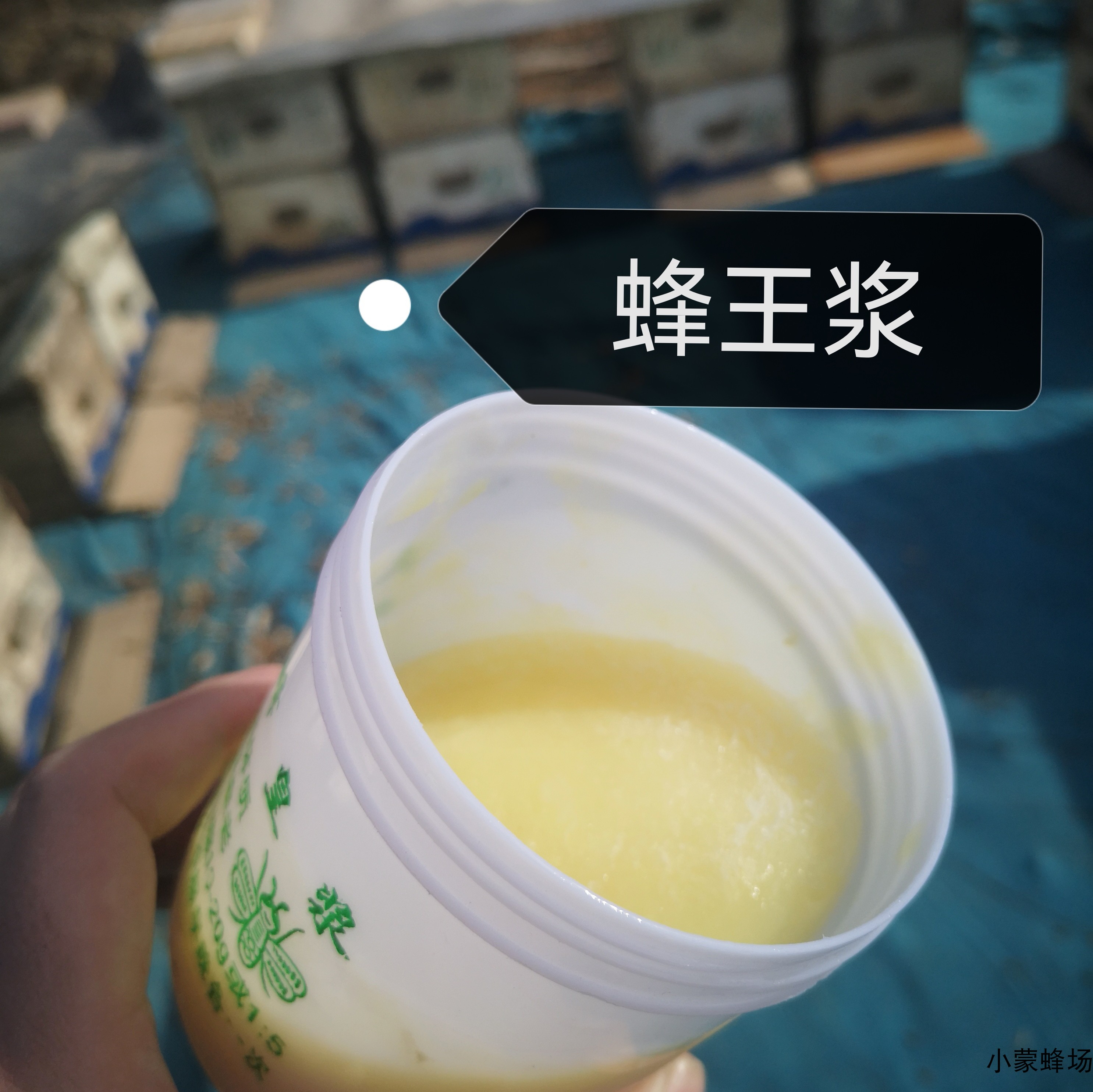 天然蜂王乳天然王浆蜂王浆蜜蜂浆