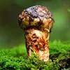 Товары от 沫小欣