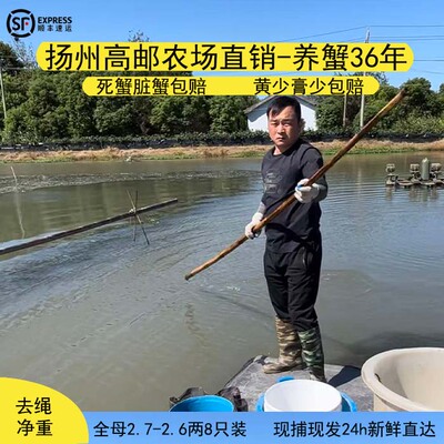大闸蟹高邮湖自家养殖物美价廉