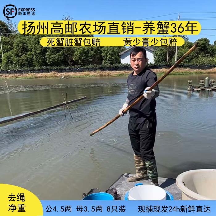 高邮湖大闸蟹自产自销净重不含绳