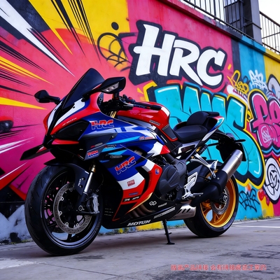 适用赛600RS/赛800车身版画贴纸