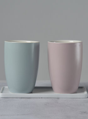 北欧ins风格情侣洗漱色系口杯