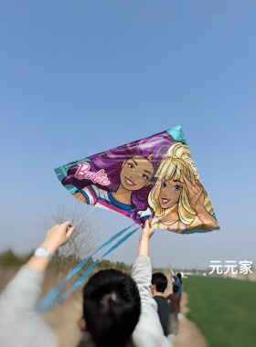 美国专业儿童风筝便携易飞基础