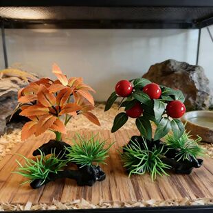 鱼缸爬宠造景植物蜥蜴守宫装饰雨林缸爬虫箱高仿真假植物摆件躲避