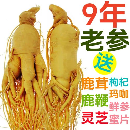 老参坊鲜人参营养价值高