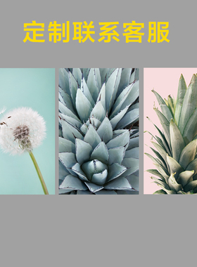 沙发背景墙卧室蒲公英装饰画画芯
