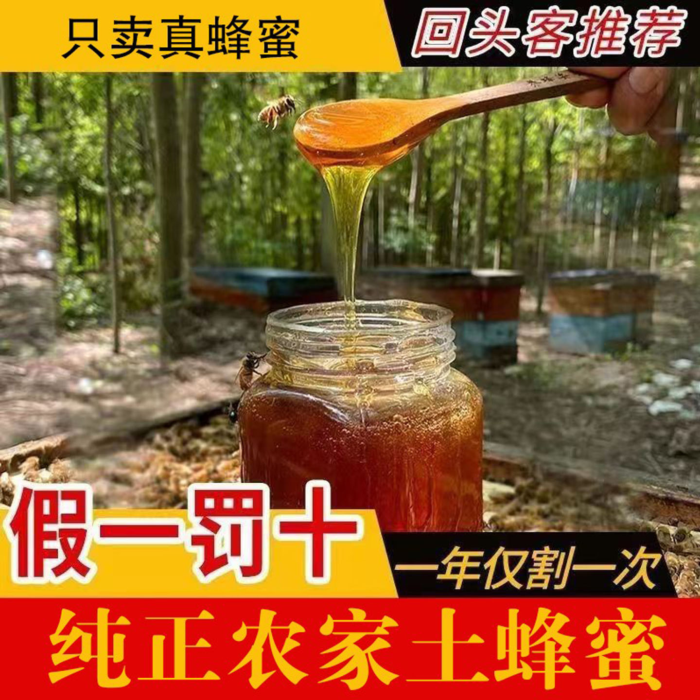 蜂蜜纯正天然无添加农家自产孕妇正宗百花蜜野生原蜜包邮