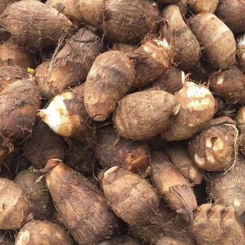 江西现挖新鲜芋子软滑糯芋头新鲜小芋头毛芋仔白芽芋艿农家蔬菜