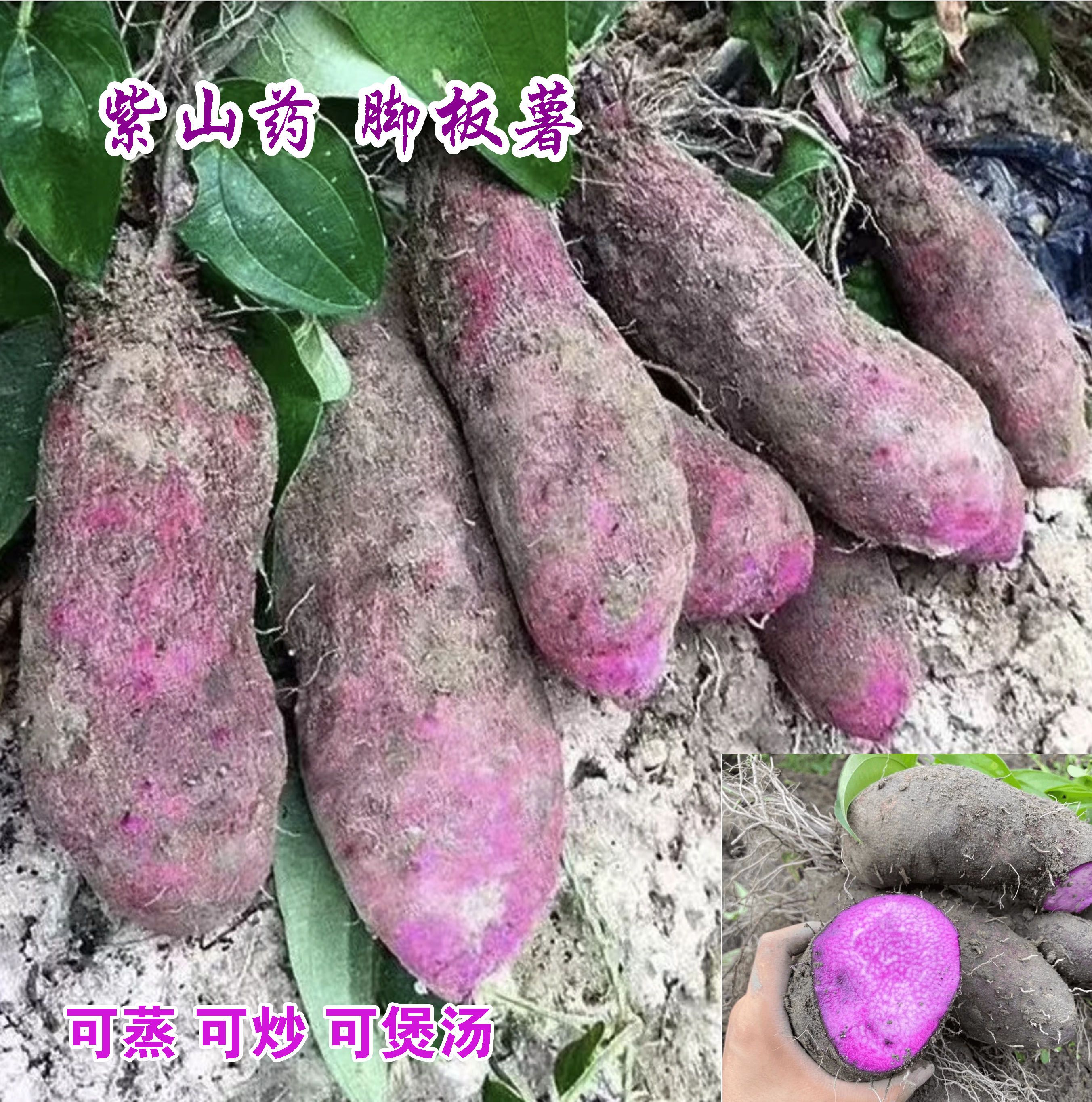 新鲜现挖脚板薯紫大薯香糯型新鲜紫山药紫淮山淮山紫大薯江西特产