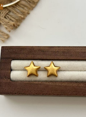 STINA银针极简拉丝星星耳钉精致