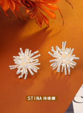 STINA爆款闪亮绽放烟花锆石耳钉高级感时尚精致浪漫耳饰氛围感银