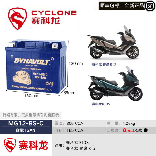 宗申赛科龙RX1SRT3S摩托车电瓶