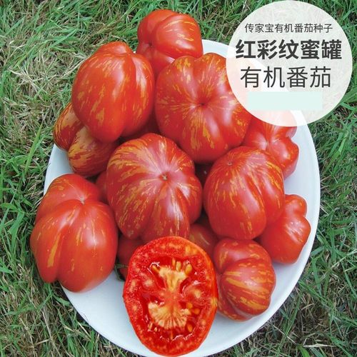传家宝四季红彩纹蜜罐多汁番茄