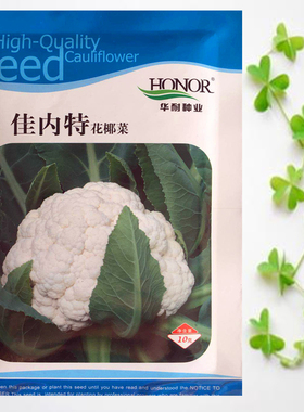 花菜种子花椰菜种籽白色菜花种苗高产四季蔬菜耐寒耐热圣美佳内特