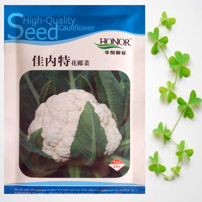 花椰菜花菜菜花种子种苗