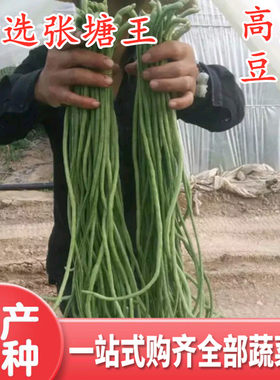 绿白条顺直特选豆角种子
