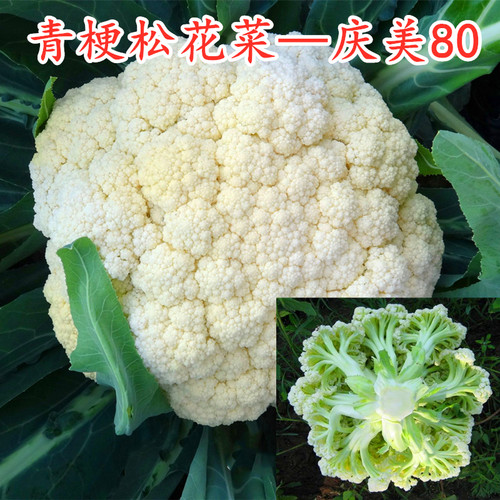 青梗松花菜种子花椰菜种籽菜花秧苗子耐寒耐热四季蔬菜庆美80天