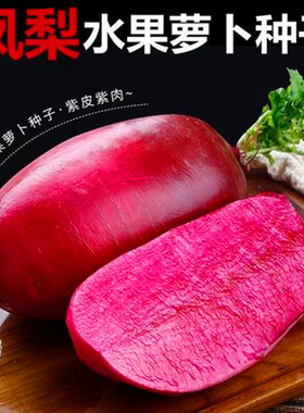 凤梨萝卜种子水果萝卜种籽紫色红心脆甜沙窝萝卜四季蔬菜高产包邮