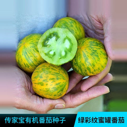 传家宝四季绿彩纹蜜罐多汁番茄