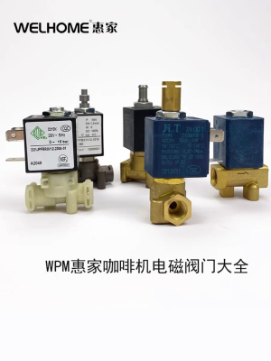 原装惠家WPM 210/270/310/330/510X咖啡机冲煮头蒸汽热水电磁阀门