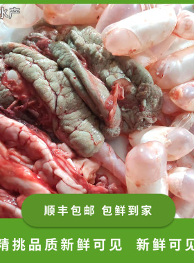 鲤鱼鱼籽鱼泡鱼白鱼杂水产品