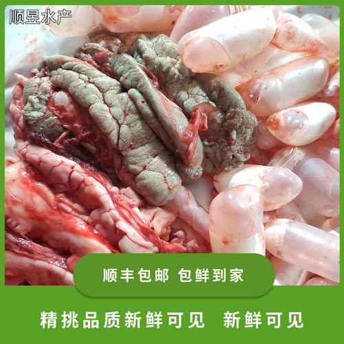 鲤鱼鱼籽鱼泡鱼白鱼杂水产品