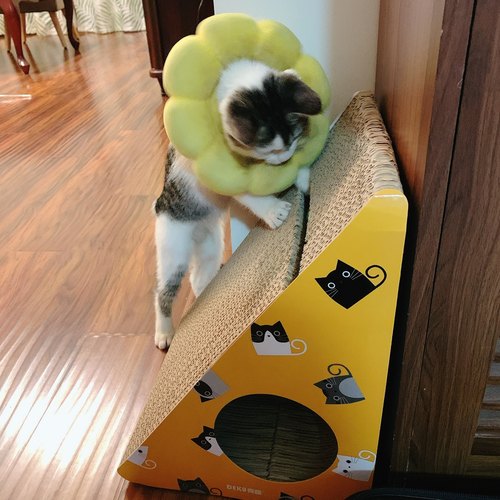 猫抓板三角形立式瓦楞纸保护沙发