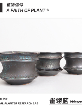 潮流块根植物龙舌兰龟甲龙块根SRL花盆陶瓷NEIGHBORHOOD野村豪人