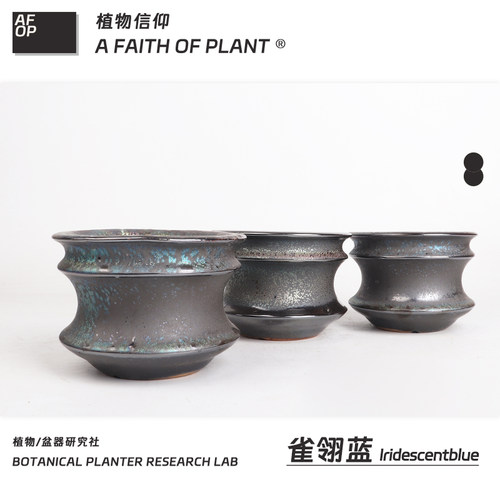 潮流块根植物龙舌兰龟甲龙块根SRL花盆陶瓷NEIGHBORHOOD野村豪人