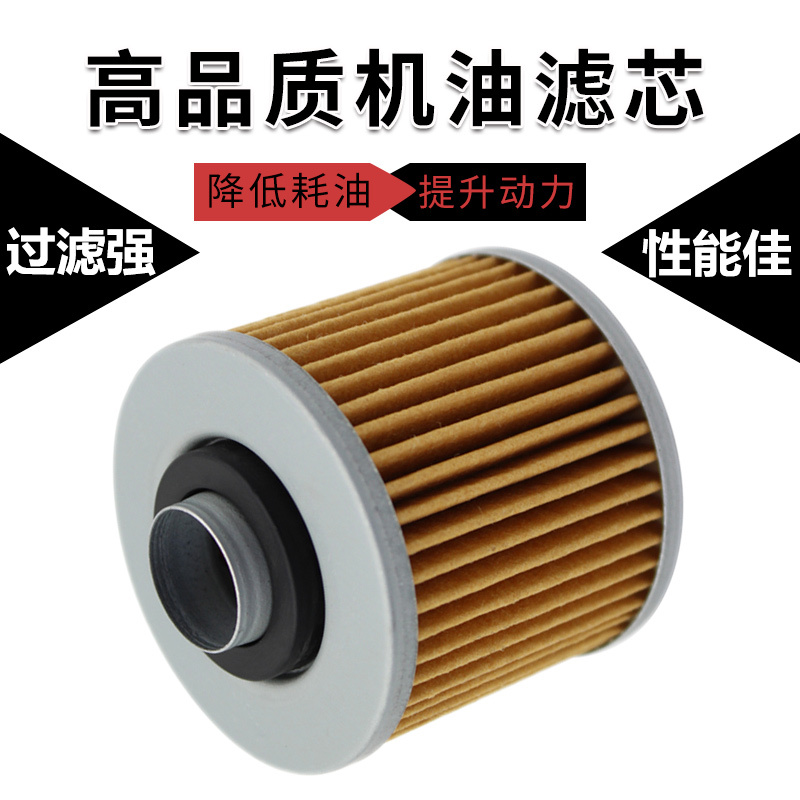 cyleto适配力帆V16龙嘉V咖250缸太子/LF250-P/B/LJ250V机油滤芯