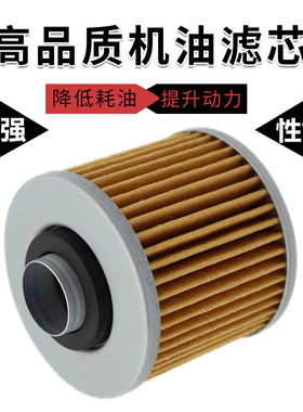 cyleto适配力帆V16龙嘉V咖250缸太子/LF250-P/B/LJ250V机油滤芯