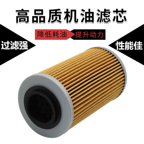 适配阿普利亚RSV1000 SL1000 庞巴迪蜘蛛侠Spyder998 990机油滤芯