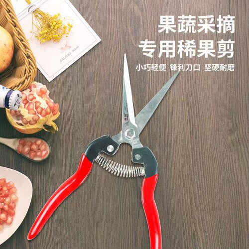 摘果剪刀采水果火龙果枸杞花椒蔬果葡萄桔子园艺剪花卉修枝稀果剪