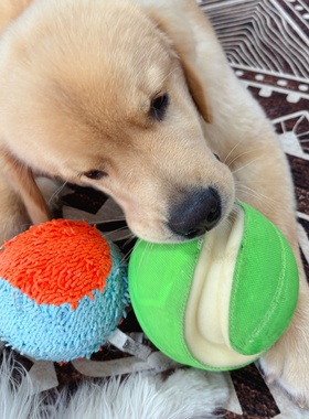 Petmate chuckit 宠物狗狗玩具球中大型犬互动训练巡回耐磨足球