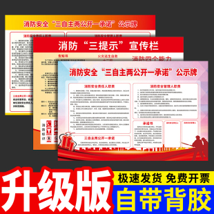 三自主两公开一承诺消防安全公示牌三提示公告栏宣传栏海报消防安全管理人职责展板四个能力提示牌墙贴纸定做