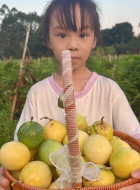 小糖家 海南正宗一级钦蜜9号酸甜黄金百香果鸡蛋果应季果产地直发