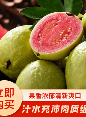 小糖家 福建漳州低糖脆甜红心芭乐番石榴包邮时令新鲜水果芭乐果