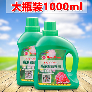 绿植物营养液通用型花肥料室内盆栽土水培绿萝多肉花卉液体有机肥