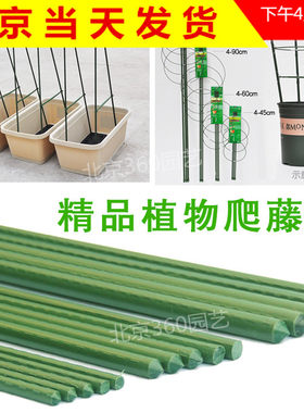 园艺支柱包塑钢管阳台爬藤架