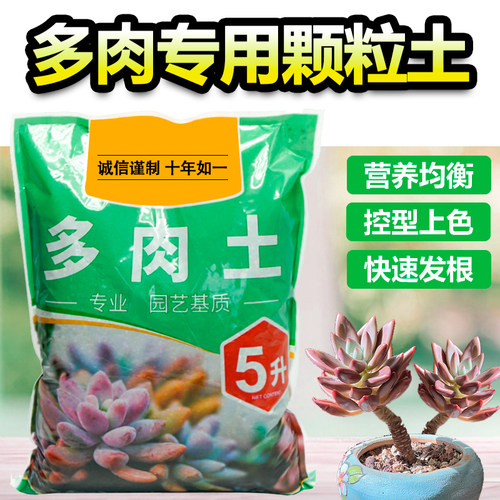 扦插铺面石泥炭通用型花土