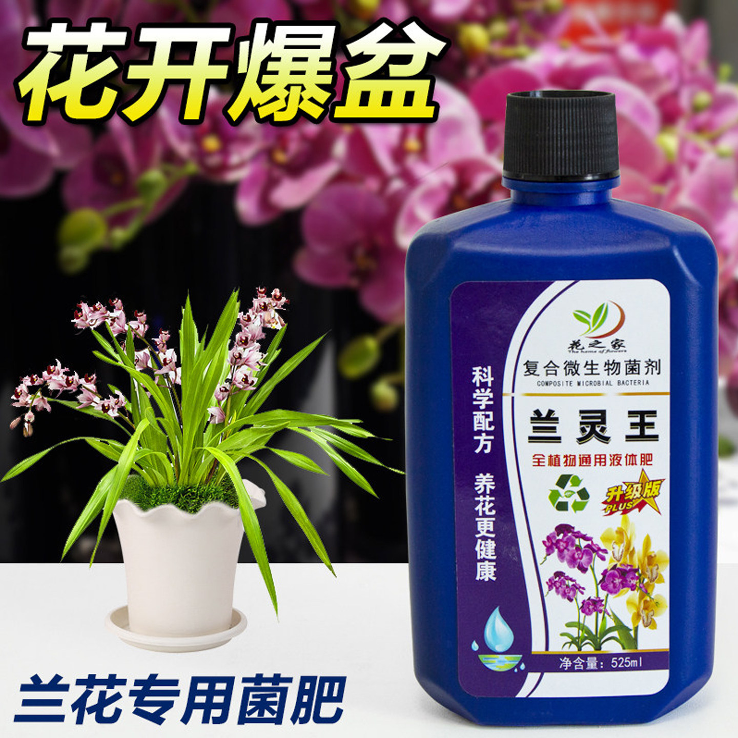 花之家兰灵王微生物菌剂图片